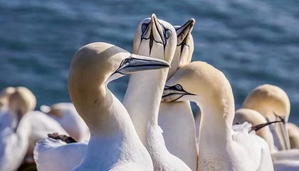 星空-云开体育：让云端点亮体育的未来